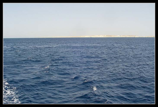 DSC01000