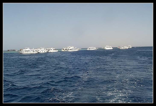 DSC01002