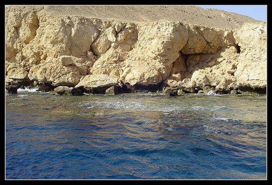 DSC01016