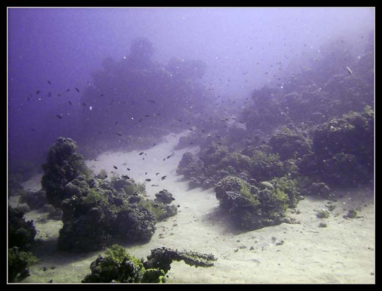 PICT0005 