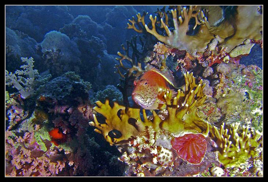 PICT0029 