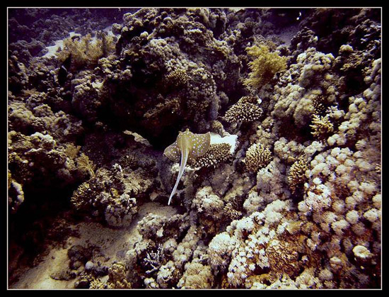 PICT0060 