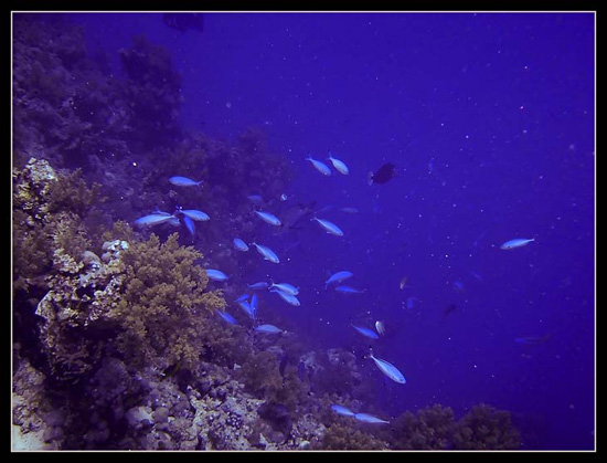 PICT0079 
