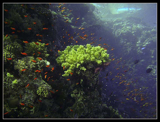 PICT0088 