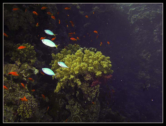 PICT0089 