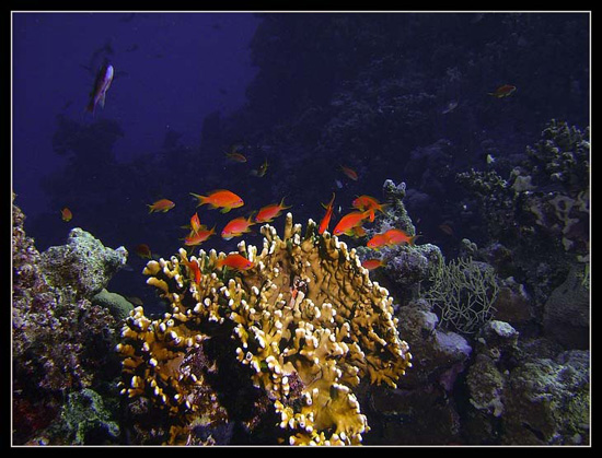 PICT0130 