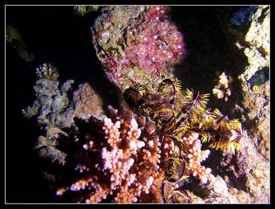 PICT0148 