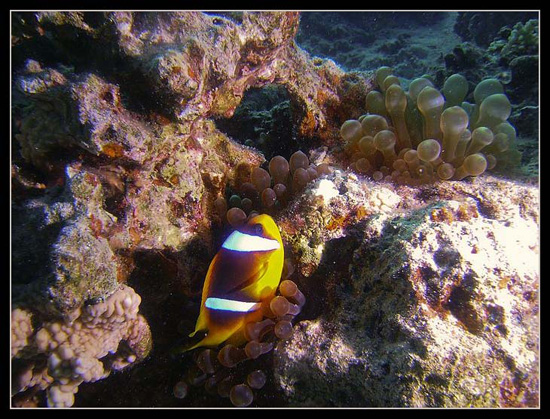 PICT0201 