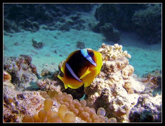 PICT0207 
