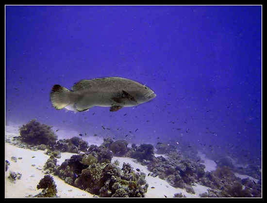 PICT0216 