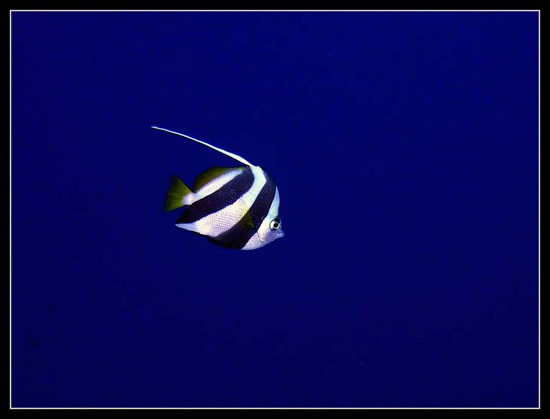 PICT0221 