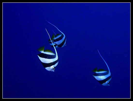 PICT0222 