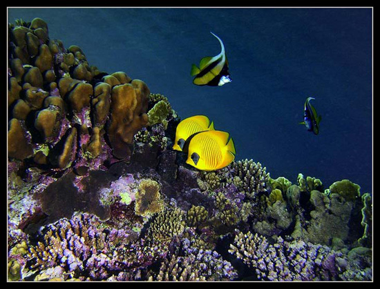 PICT0243 