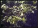 PICT0067 